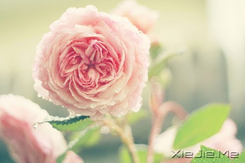 文字:不说,是因为想跟你在一起