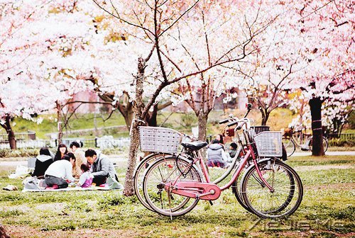 马年和自己的10个约定 (8)