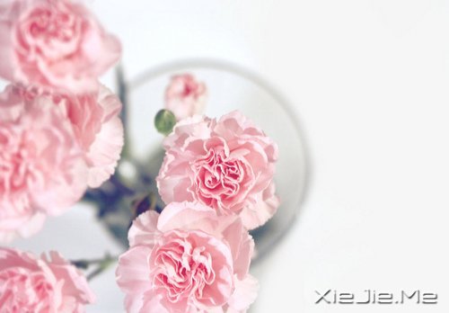 做好自己不留任何遗憾 (9)