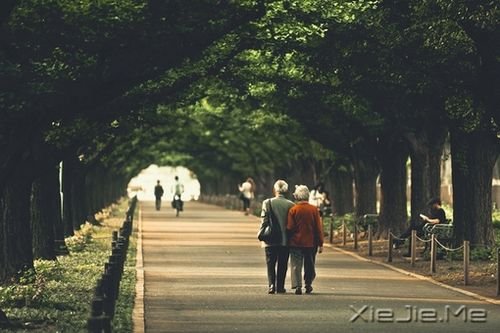 ����ϣ����������