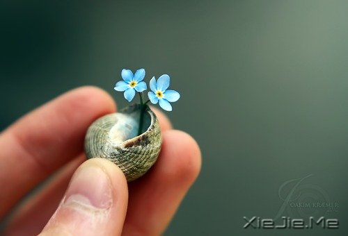 自我管理:消灭那些不该干的事