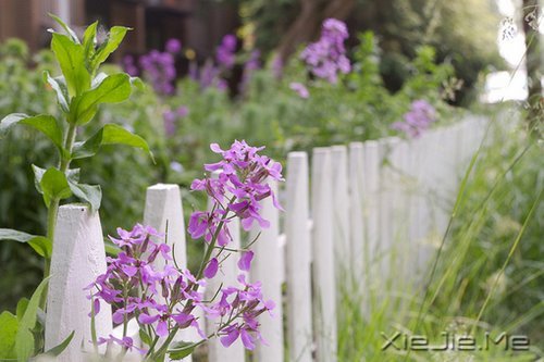 经典语录:只要适合自己,就是幸福 (11)