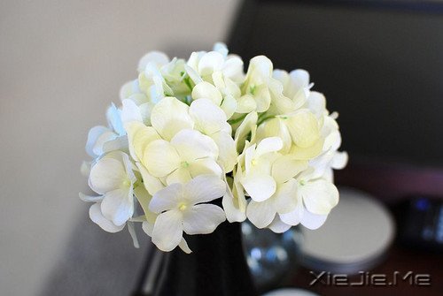 文字:爱这个东西是一次性的