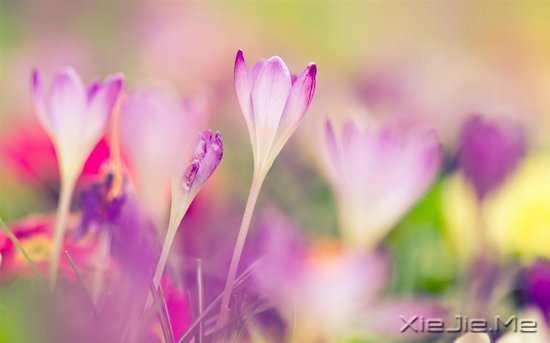 文字:要少做的十件事 (2)