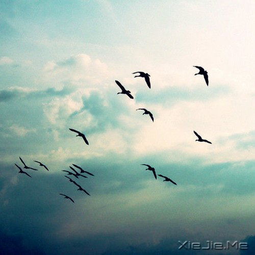 如果相遇在这条小路 (6)