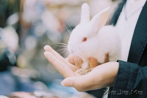 �ҵ����Ѻܶ࣬���Ǿ�����һ�����һ��ǻ��᲻��