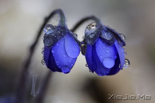 30句做人之道处事之理 (1)