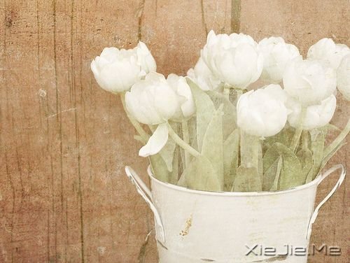 ���ǿ��ʱ�������� (1)